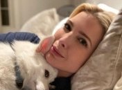 С милыми косичками: Иванка Трамп поделилась семейным фото