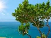 Под угрозой новый туристический маршрут на Кипр 