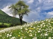 Приметы и обряды на 6 мая – День Егория Вешнего