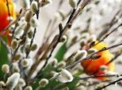 Погода на наступні вихідні