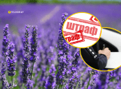 Лучше этого не делать