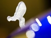 Rolls-Royce подумывает о внедорожнике