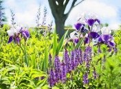 По летнему жарко: синоптики дали прогноз погоды до конца недели