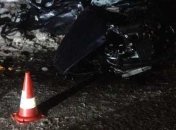 В ДТП на трассе Киев-Чоп погибли три человека