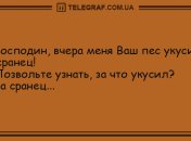 Лучшие антистрессовые анекдоты этим утром
