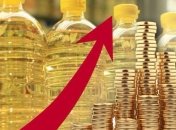 Украина в 2016 году произвела рекордное количество подсолнечного масла