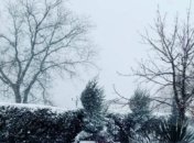 Заснеженный Крым попал на сказочные фото и видео