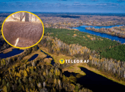 У Чорнобильському заповіднику побачили рідкісного хижака