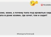 По життю йдуть разом ті люди, чиїм тарганам просто по дорозі: веселі жарти на ранок