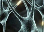 Ученые открыли метод восстановления нервных клеток