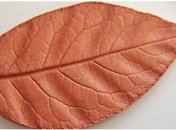 Полимерные листья научили фотосинтезу