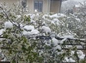 Апрельские снегопады в Украине