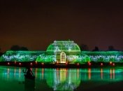 Как в сказке: королевские сады уже украсили к рождественским праздникам