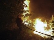 Азаров: аэрокосмический контроль за лесами предупредит пожары