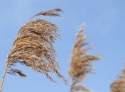 Свято 3 жовтня: головні прикмети і що категорично заборонено робити