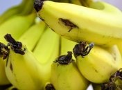 Эксперты объяснили, почему после очищения бананов нужно обязательно мыть руки