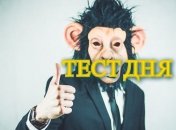 Оцените свои профессиональные навыки с помощью легкого теста