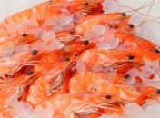 Почему морепродукты полезны для женщин?