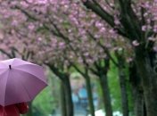 В Украине ожидается небольшой дождь