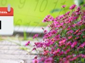 Яке свято 1 серпня: народні прикмети і заборони