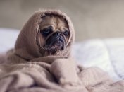 5 простих порад, як привчити організм лягати спати раніше