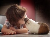 Какие домашние животные опасны для детей