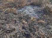 В Полтавской области второй день горит торфяник