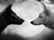 Ученые объяснили разделение людей на "плохих" и "хороших"