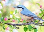 На днях Україну прогріє до +24°