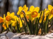 Яке сьогодні свято — День Прохору та Харлампія