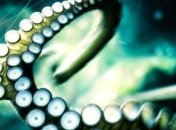 Самая большая нервная клетка достигает 12 метров в длину