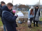 У столиці викрито жінку, яка виготовляла та збувала кіно для дорослих за участю дітей