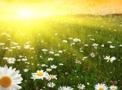 Ученые назвали самый важный для людей витамин