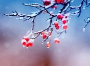 Погода в феврале будет переменчивой