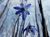 Погода в Украине 4 апреля: солнечно, осадков не будет