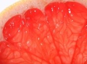 Список жиросжигательных продуктов 