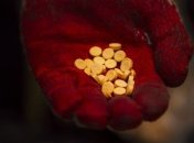 Изобретения, которые изменили мир