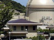 В Японии возобновил работу второй ядерный реактор в стране