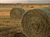 В Житомирской области згорело 500 тонн сена