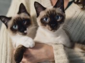 Пройдите тест и узнайте о себе больше