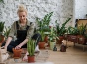 Без комнатных цветов в доме не обойтись