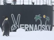 Императорский пингвин подбодрил полярников на "Академик Вернадский" (Фото)