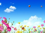 27 мая. Приметы дня