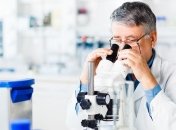 NASA запустит грибы в космос с целью поиска новых лекарств