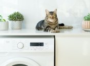 Що можна прати у пральній машині