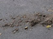 В столичном Гидропарке произошла стрельба, есть раненые