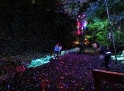 Люминесцентный парк, переносящий своих посетителей в сказку (Фото) 