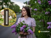 Украинцы подождали тепла