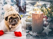 Праздник 6 февраля