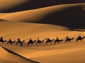 Трамп: В Сахаре надо построить стену